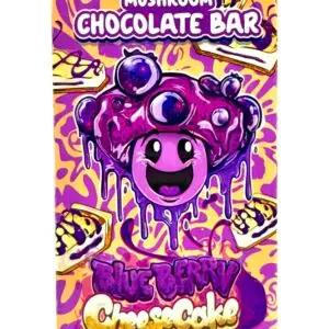 Blueberry Cheesecake Functional Mushroom Chocolate Bar