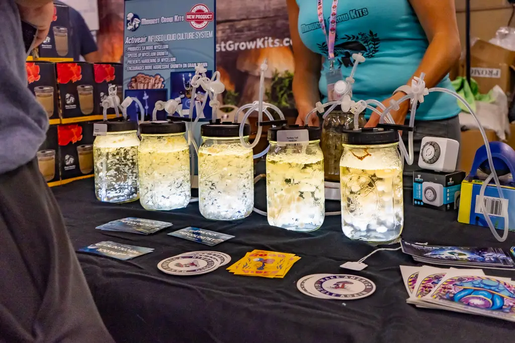 Mushroom vendor booth displaying a row of electric liquid bubblers all in a state of active rolling bubbles.